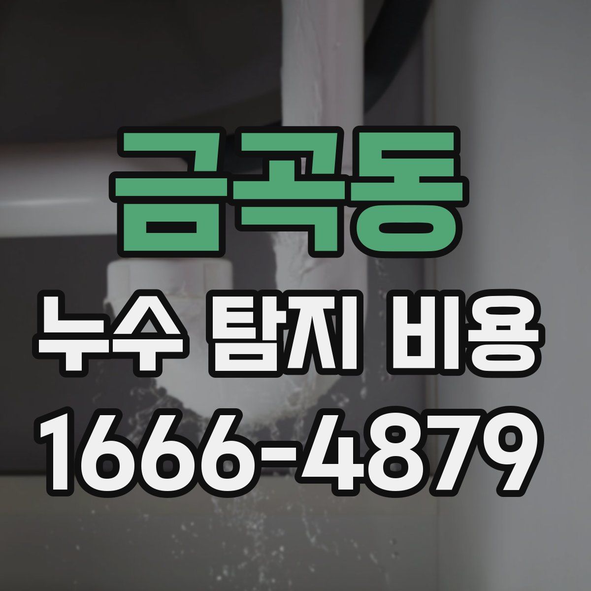 금곡동 누수 탐지 비용