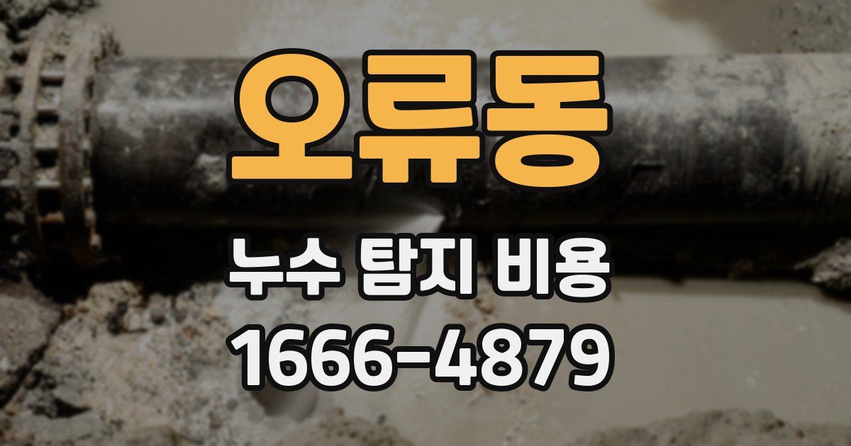 오류동 누수 탐지 비용