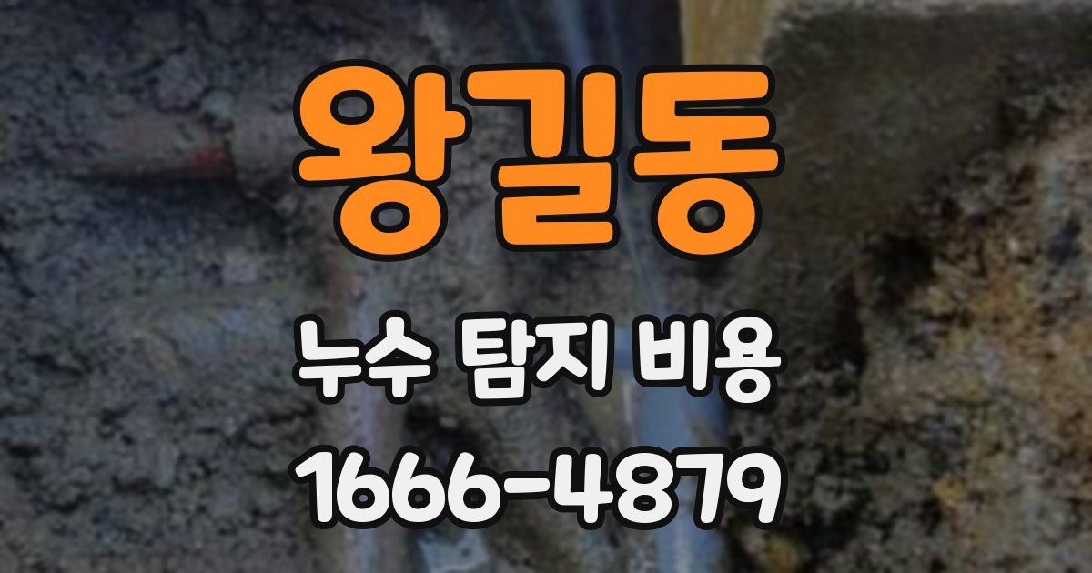 왕길동 누수 탐지 비용