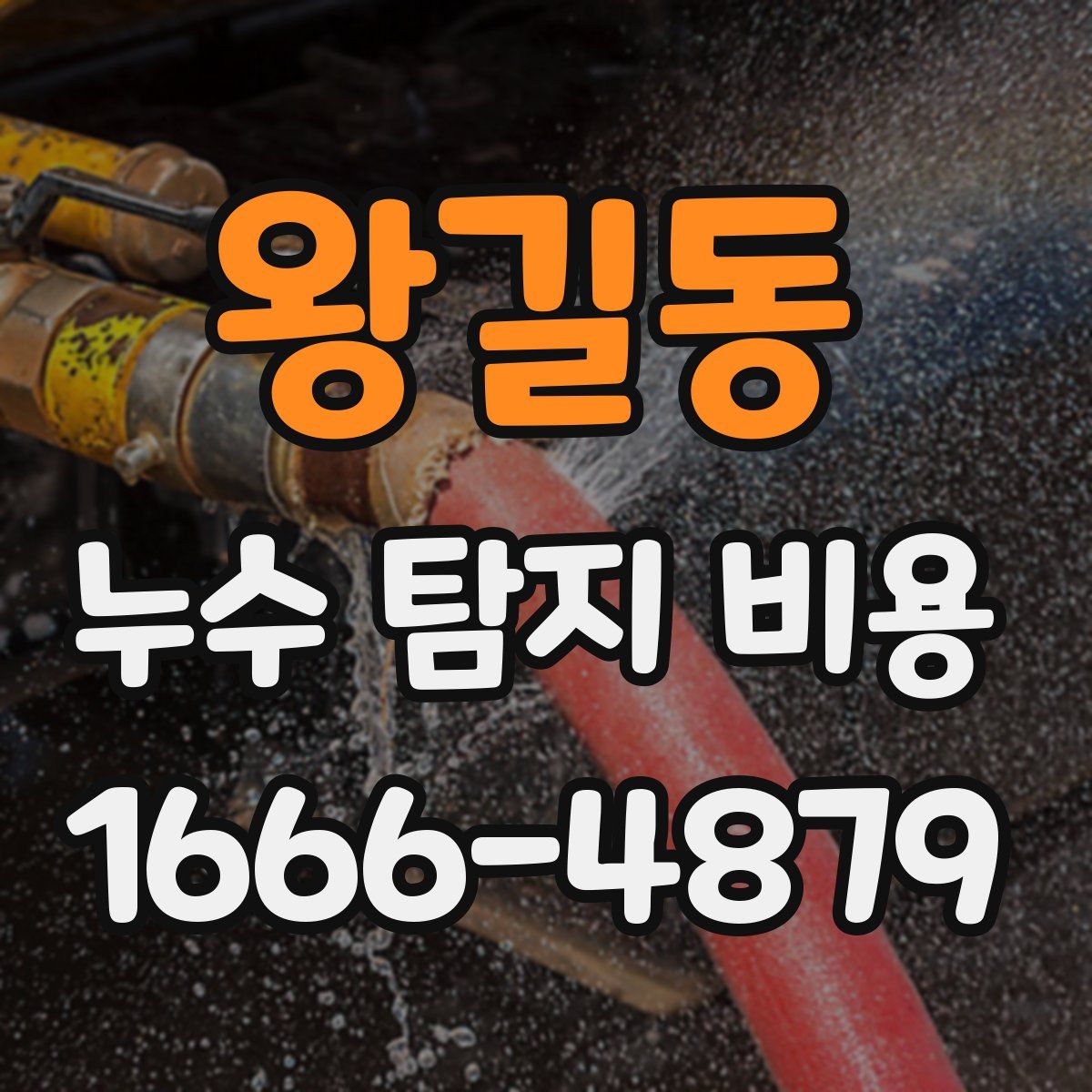 왕길동 누수 탐지 비용