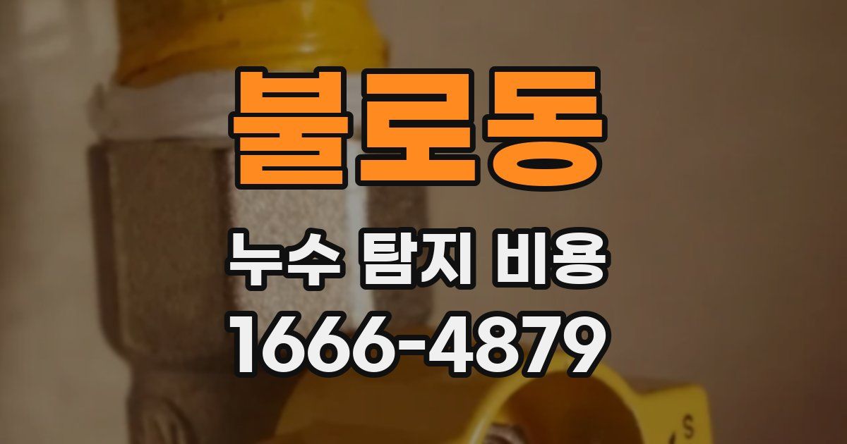불로동 누수 탐지 비용