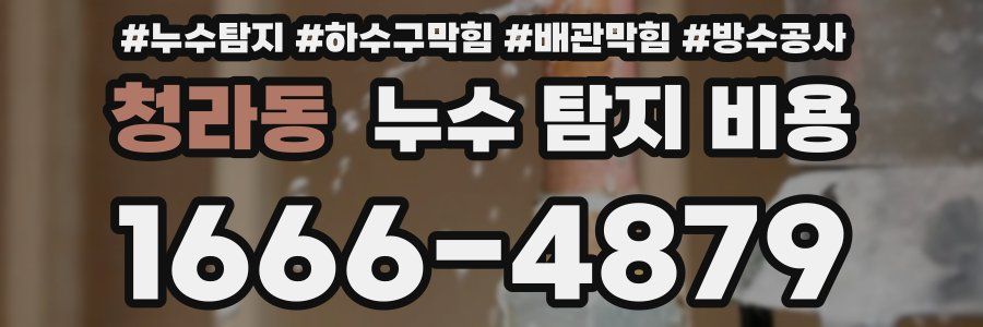 청라동 누수 탐지 비용