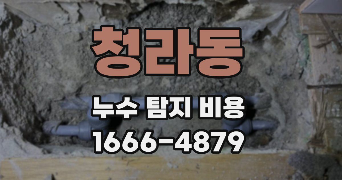 청라동 누수 탐지 비용