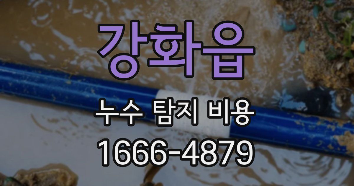 강화읍 누수 탐지 비용