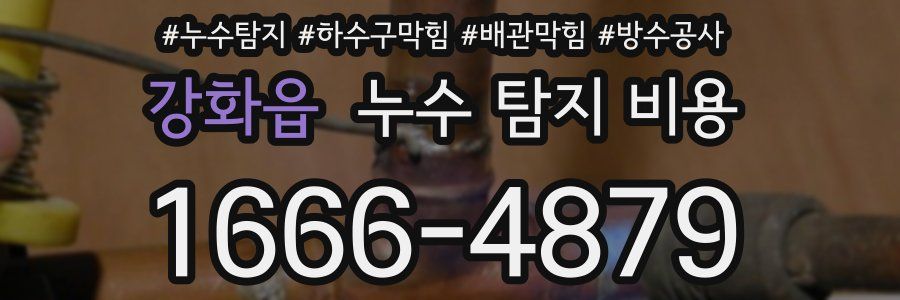 강화읍 누수 탐지 비용