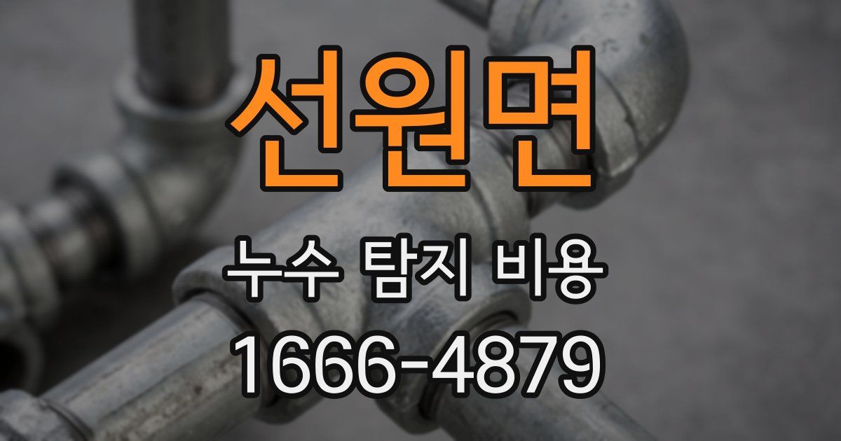 선원면 누수 탐지 비용