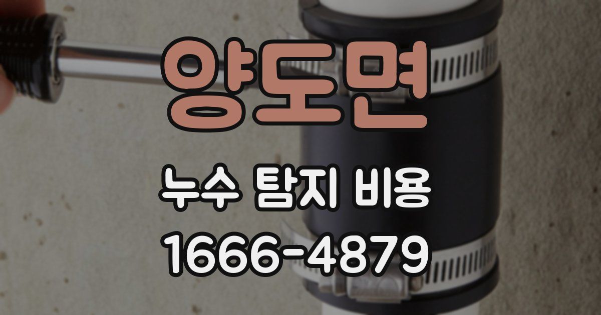 양도면 누수 탐지 비용