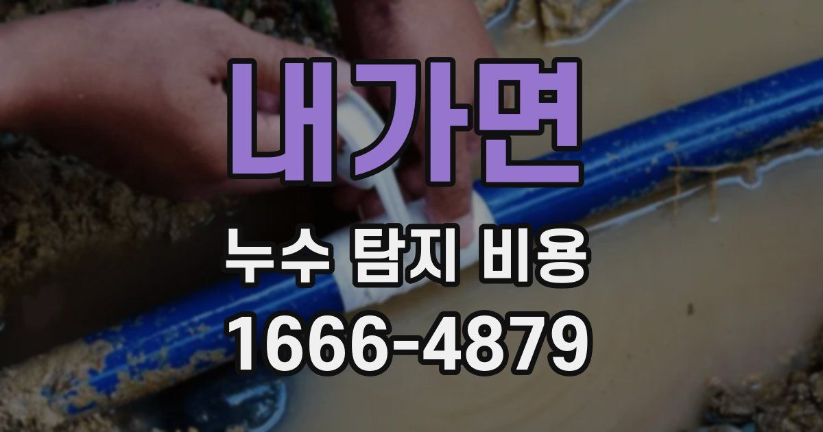 내가면 누수 탐지 비용
