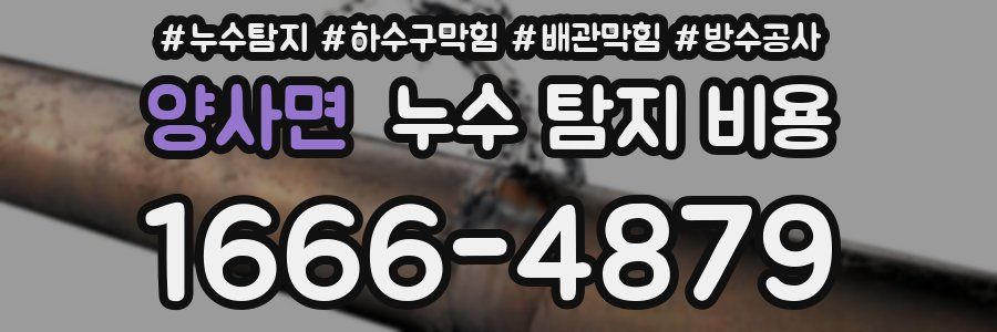 양사면 누수 탐지 비용