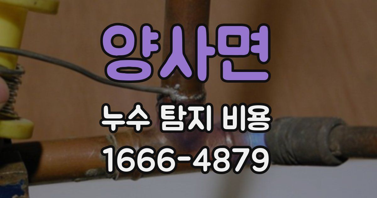 양사면 누수 탐지 비용