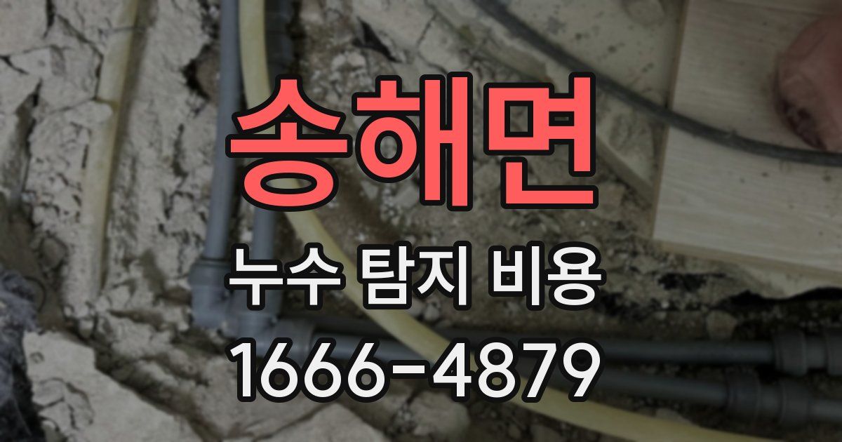 송해면 누수 탐지 비용