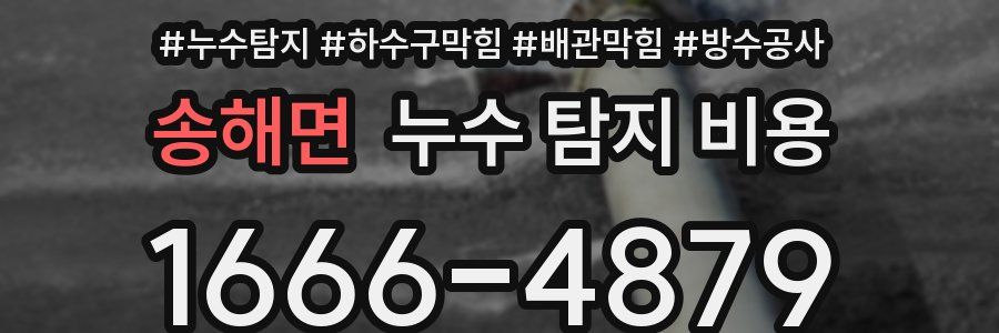 송해면 누수 탐지 비용