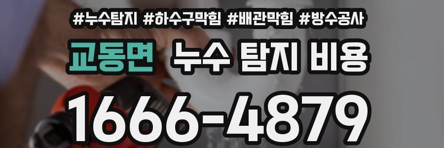 교동면 누수 탐지 비용