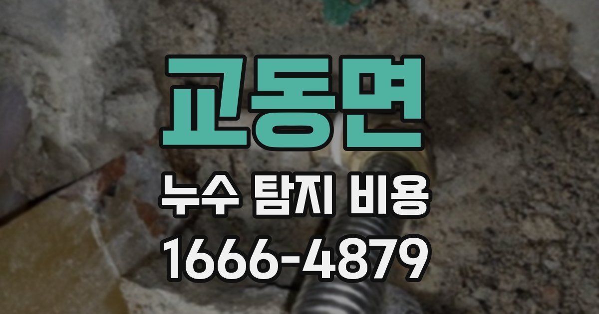 교동면 누수 탐지 비용