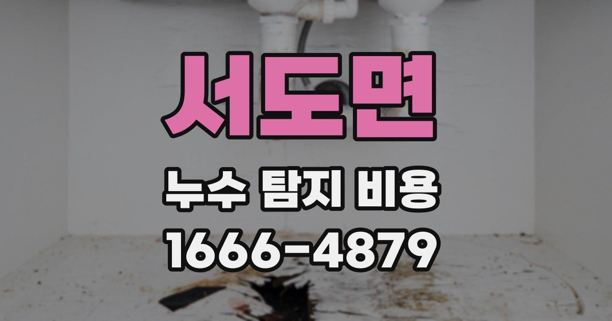 서도면 누수 탐지 비용