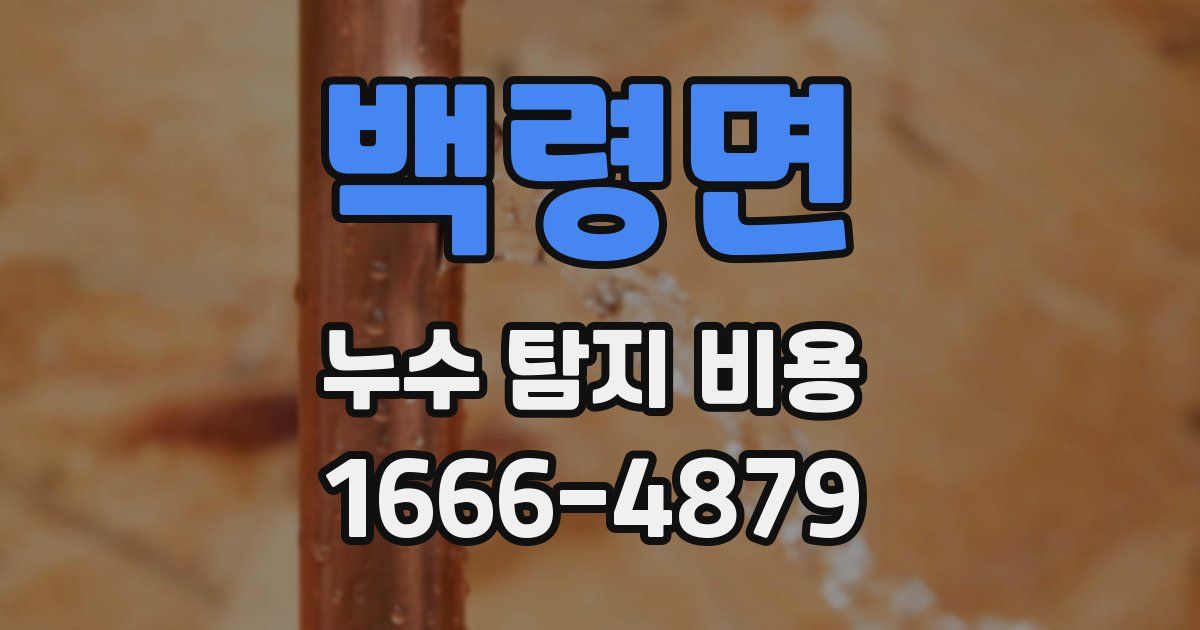 백령면 누수 탐지 비용