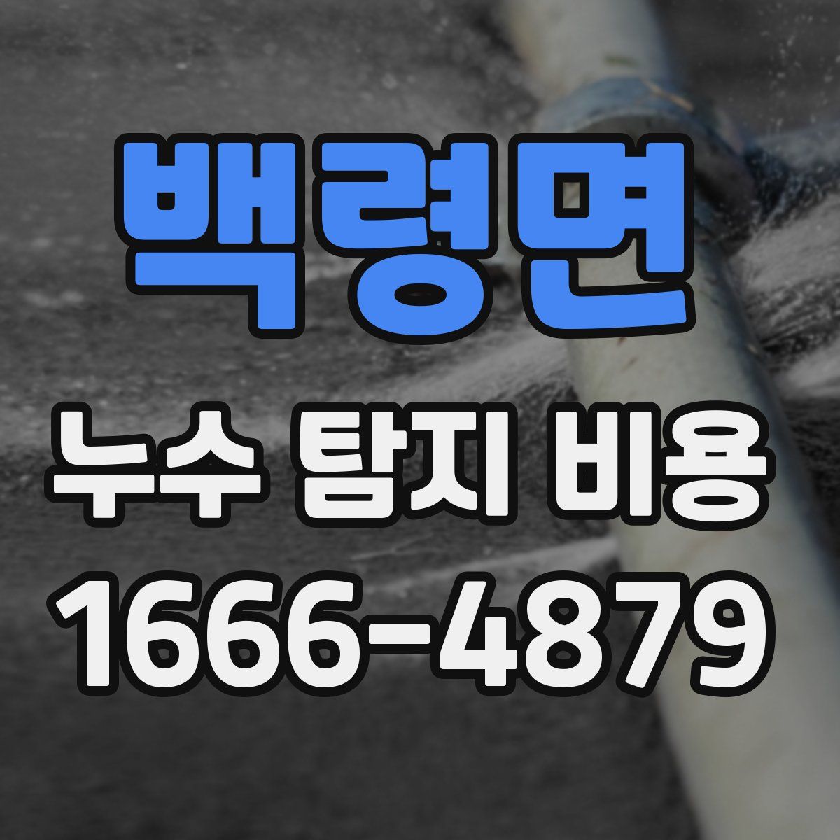 백령면 누수 탐지 비용