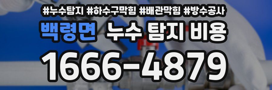 백령면 누수 탐지 비용