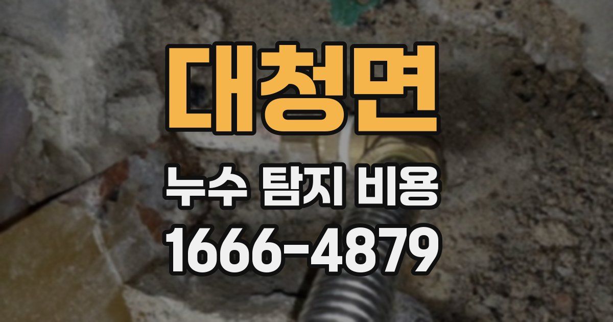대청면 누수 탐지 비용