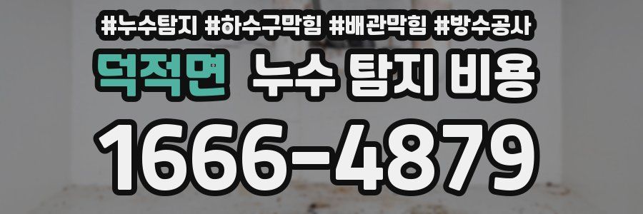덕적면 누수 탐지 비용