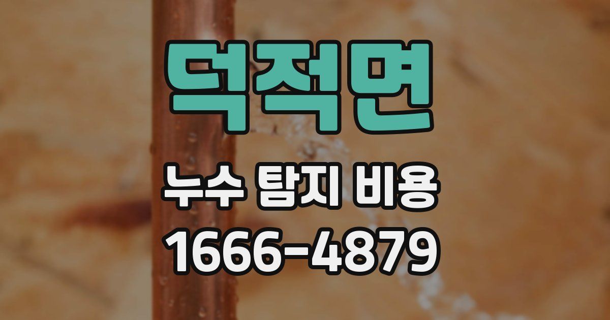 덕적면 누수 탐지 비용