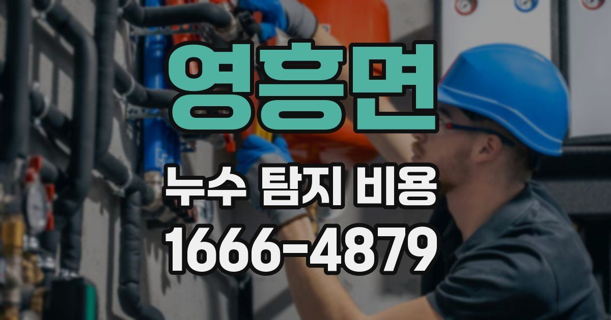 영흥면 누수 탐지 비용