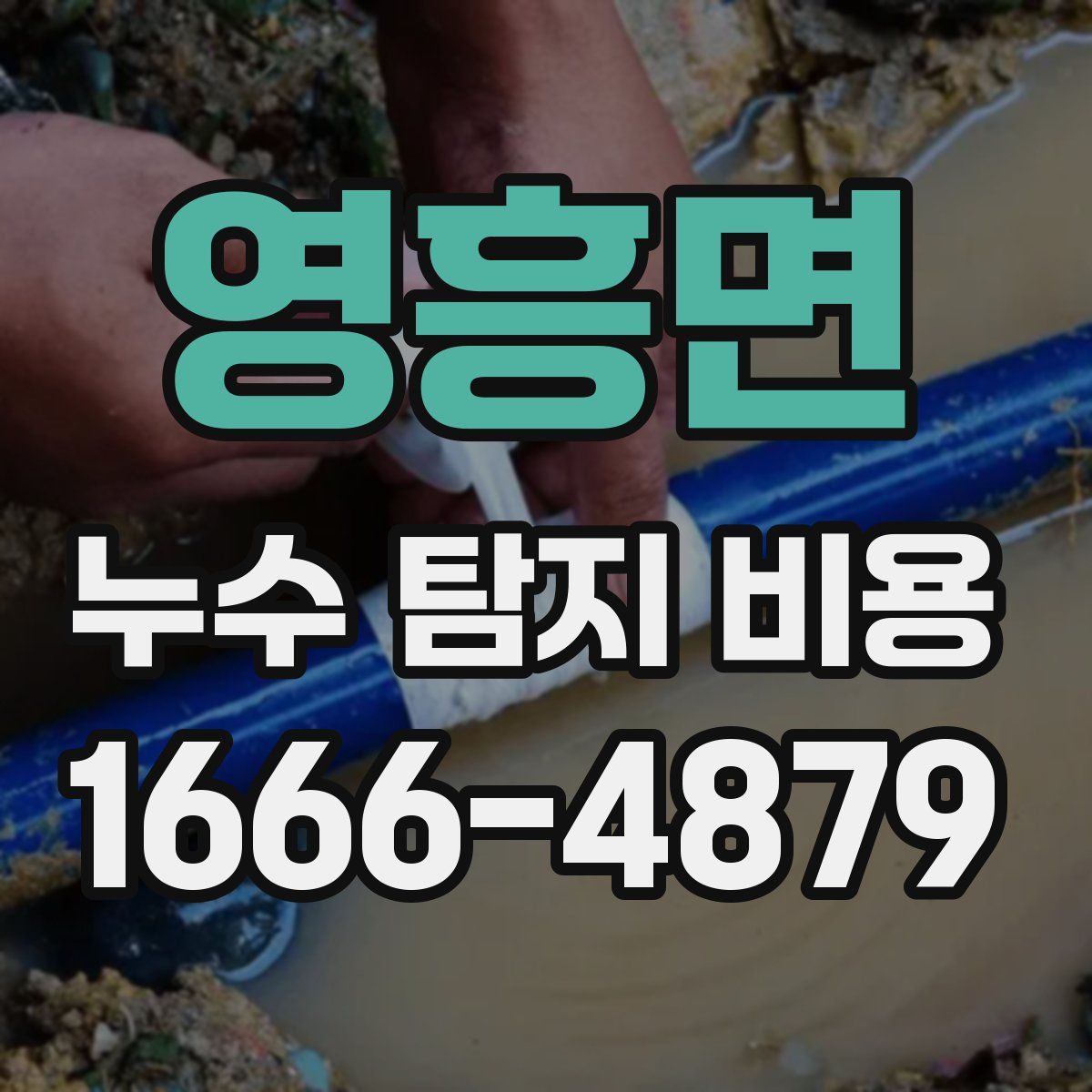 영흥면 누수 탐지 비용