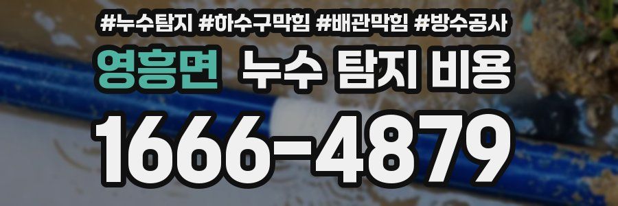 영흥면 누수 탐지 비용