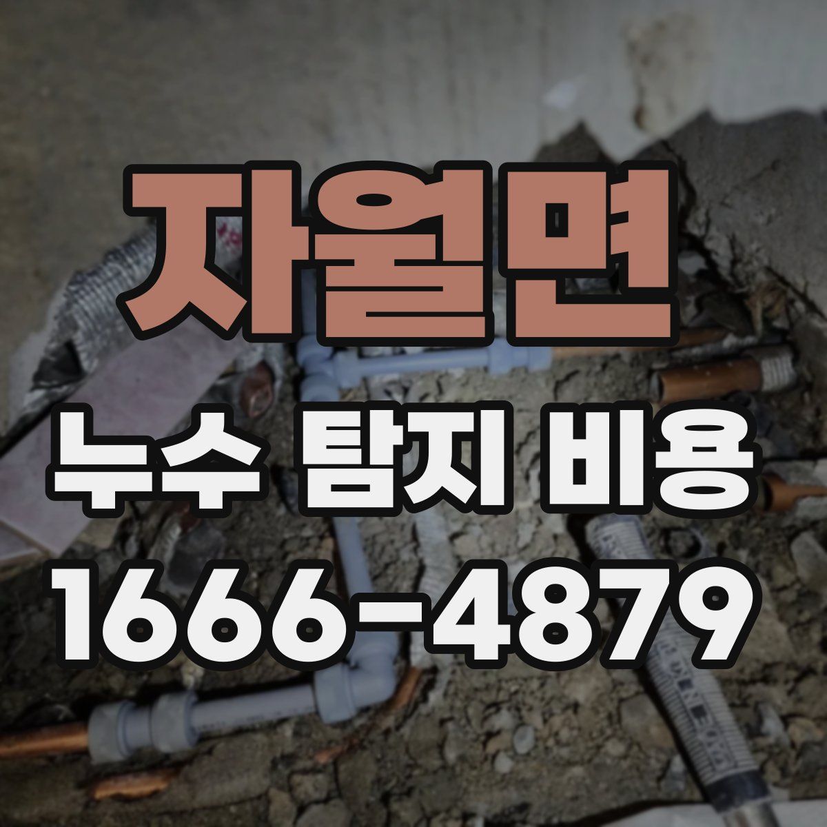 자월면 누수 탐지 비용
