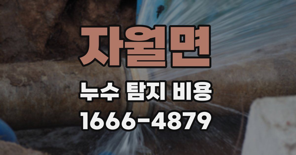 자월면 누수 탐지 비용
