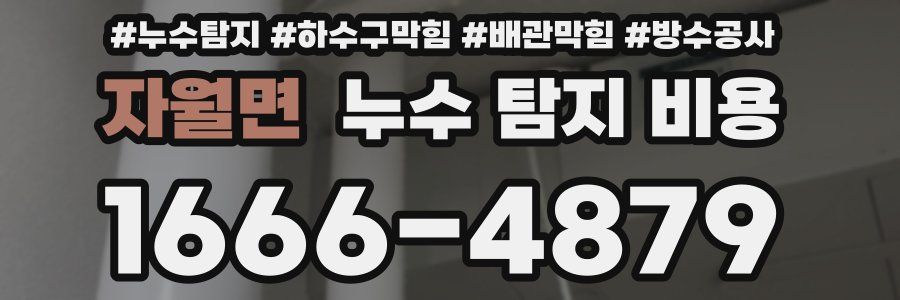 자월면 누수 탐지 비용