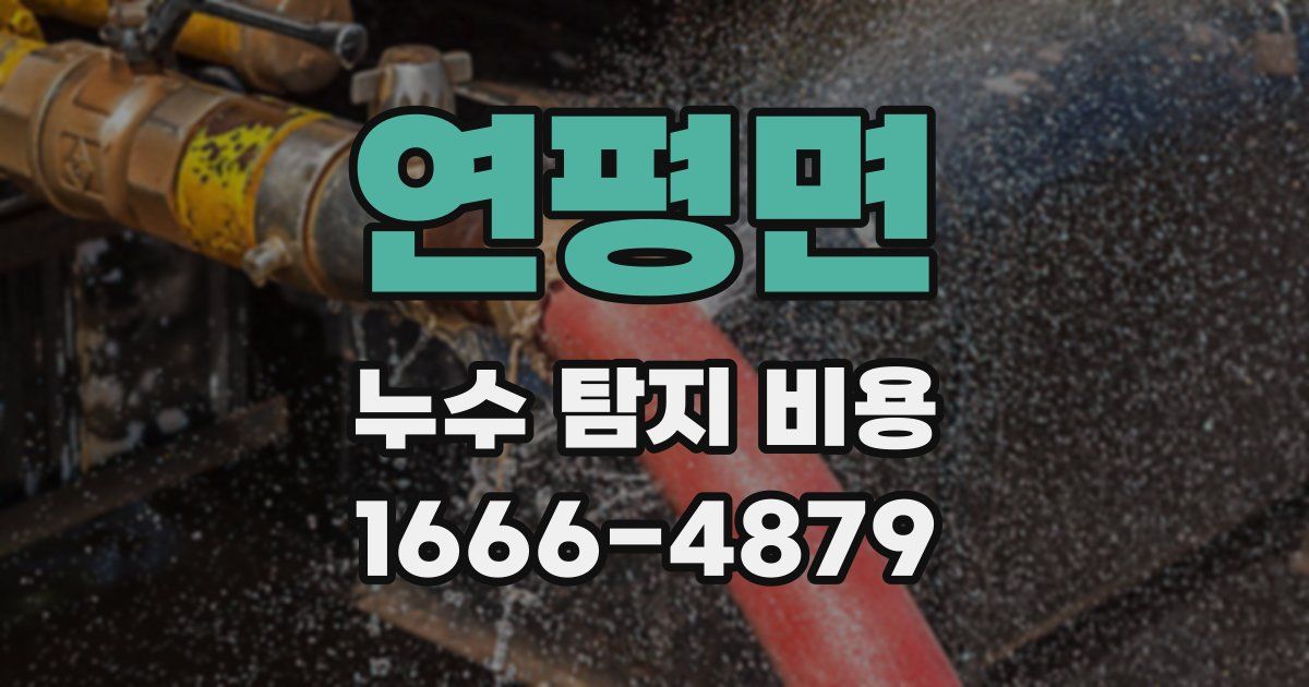연평면 누수 탐지 비용