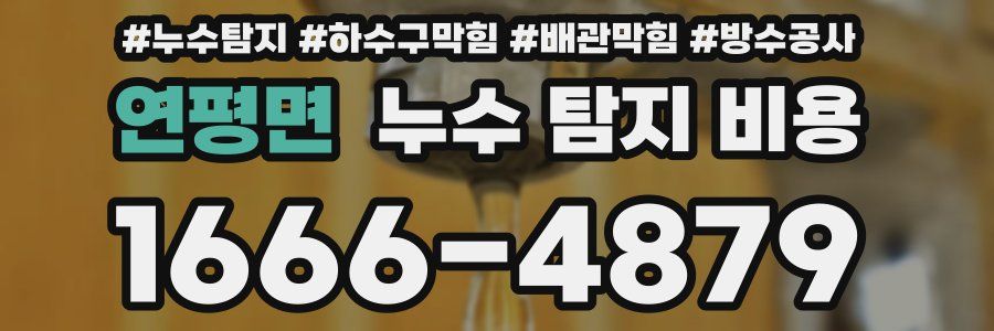 연평면 누수 탐지 비용