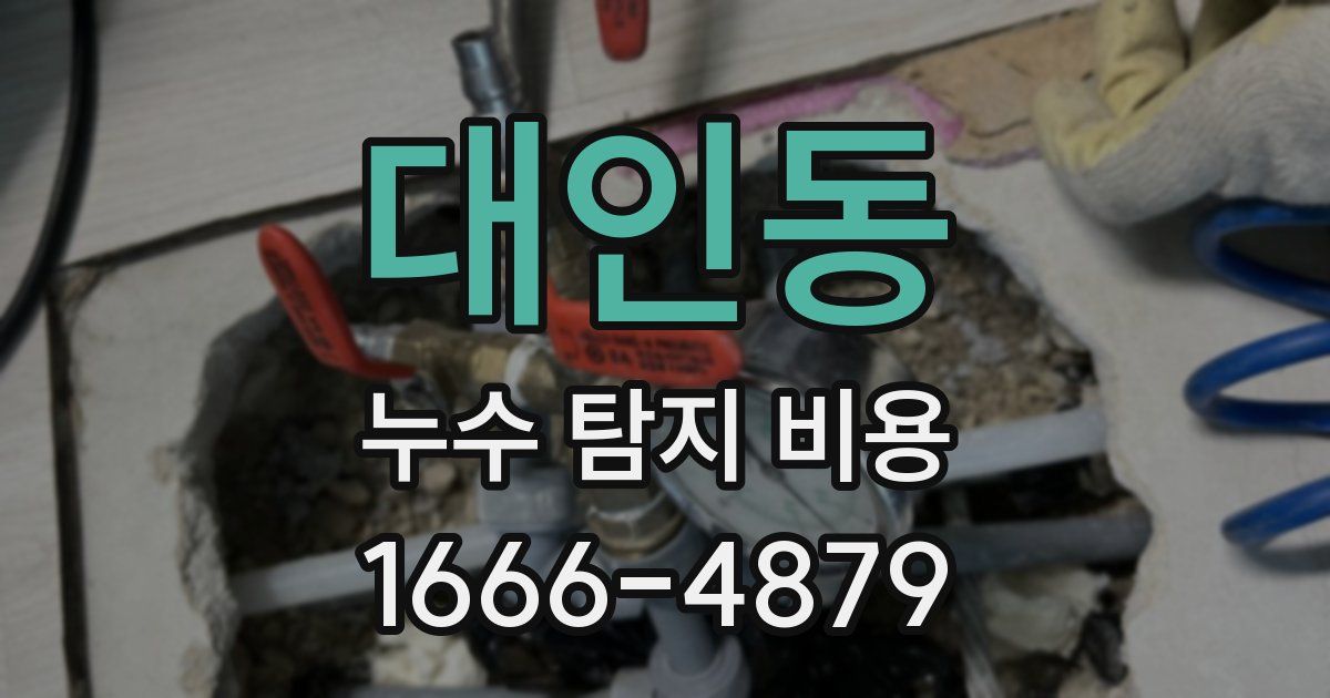 대인동 누수 탐지 비용