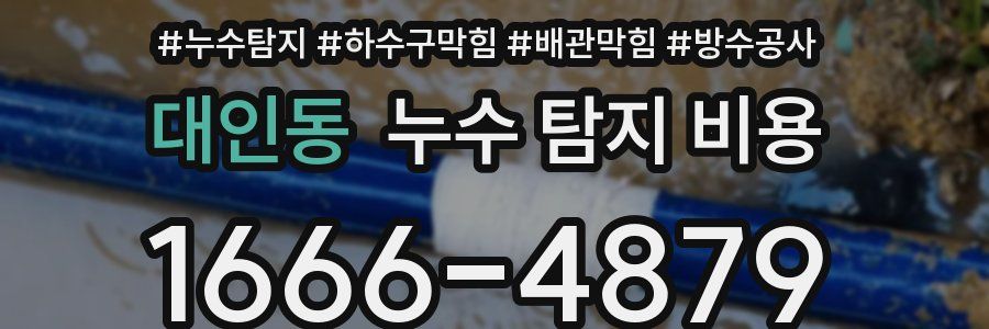 대인동 누수 탐지 비용