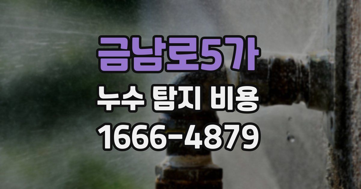 금남로5가 누수 탐지 비용
