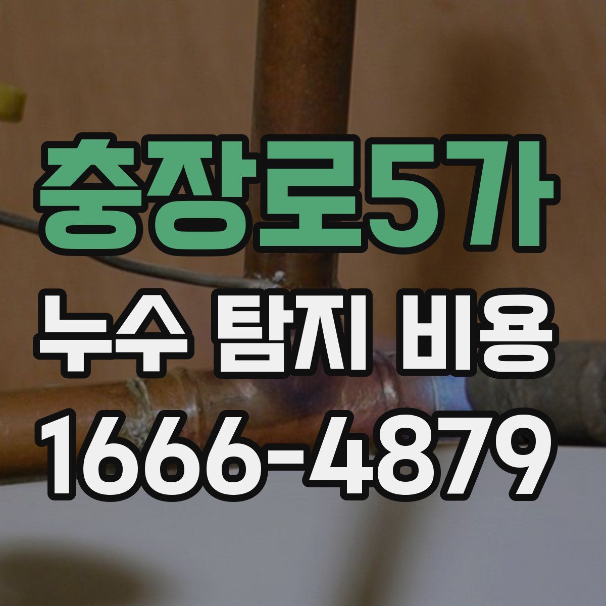 충장로5가 누수 탐지 비용