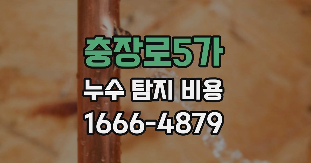 충장로5가 누수 탐지 비용