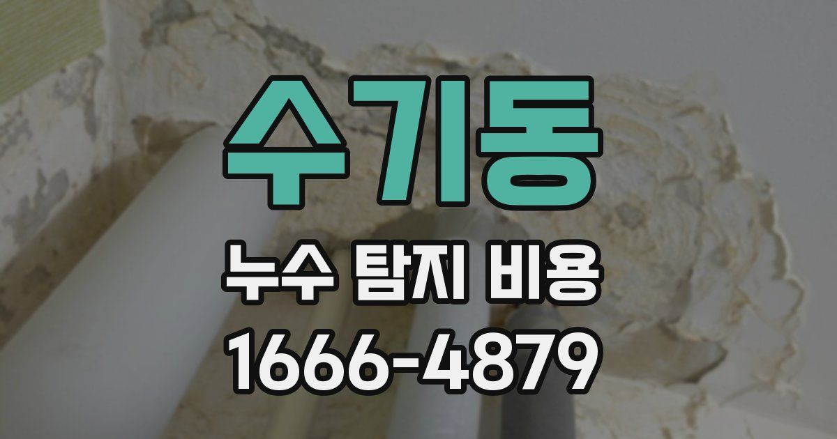 수기동 누수 탐지 비용