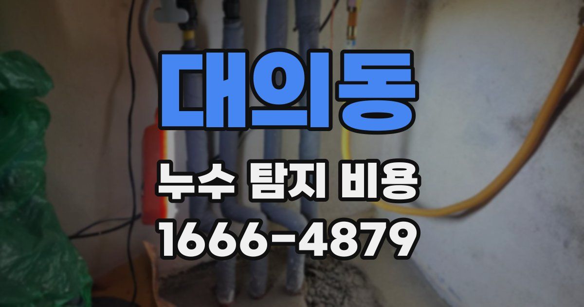 대의동 누수 탐지 비용