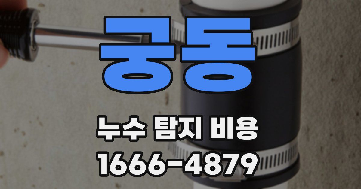 궁동 누수 탐지 비용