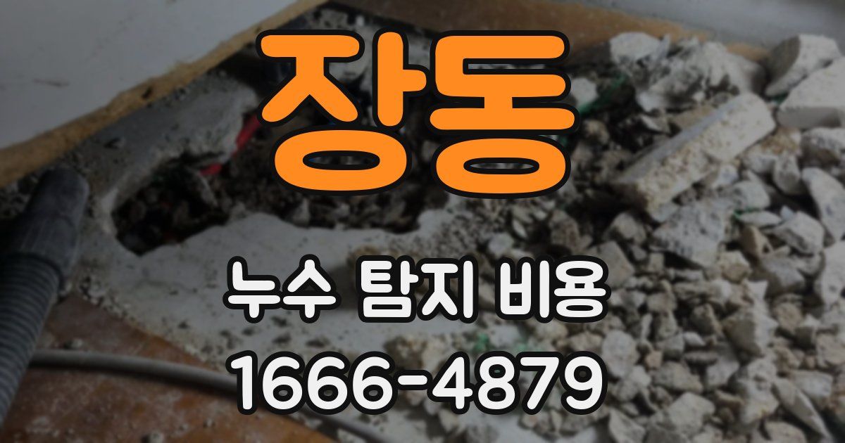 장동 누수 탐지 비용