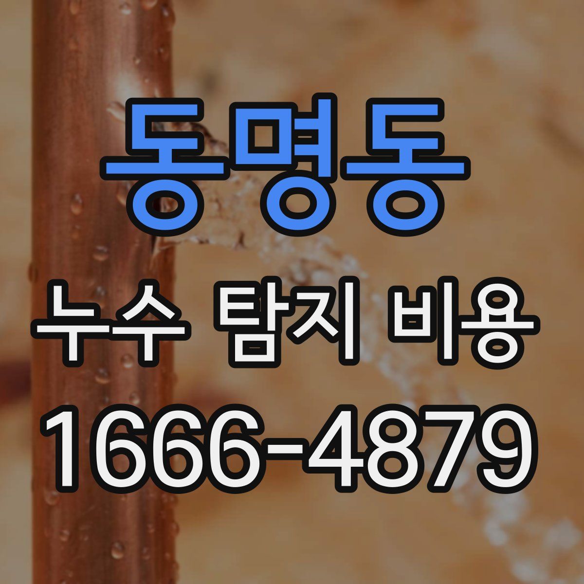 동명동 누수 탐지 비용