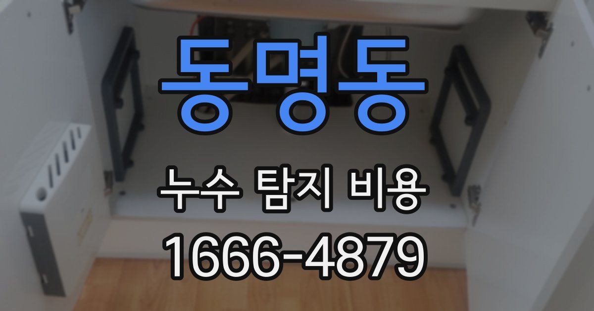 동명동 누수 탐지 비용