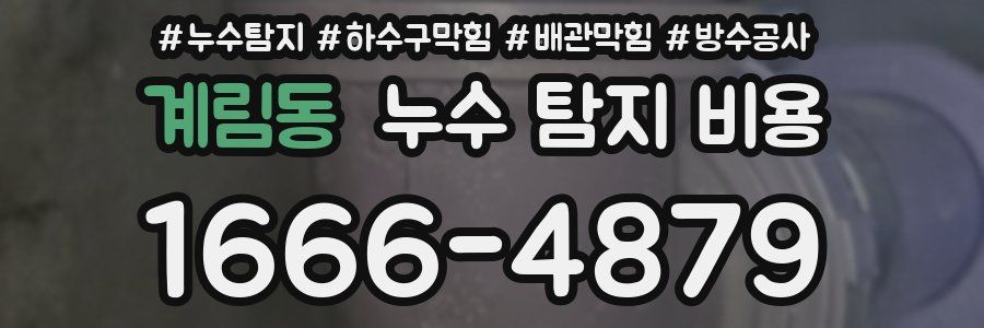 계림동 누수 탐지 비용