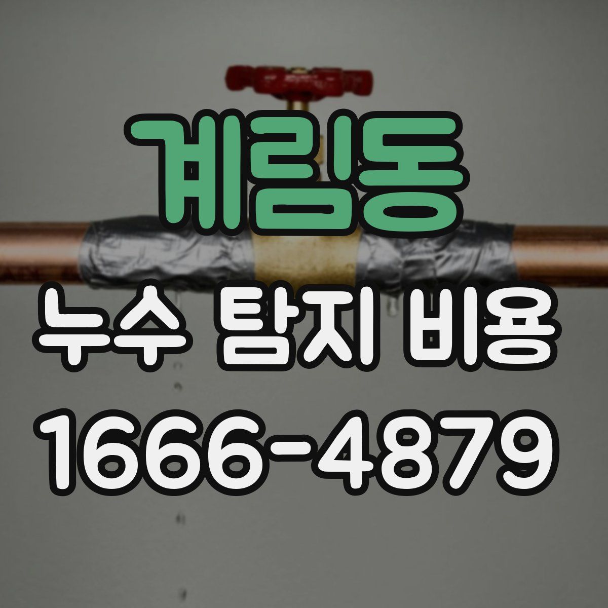 계림동 누수 탐지 비용