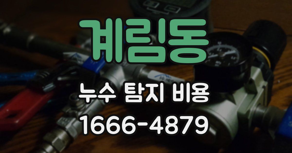 계림동 누수 탐지 비용