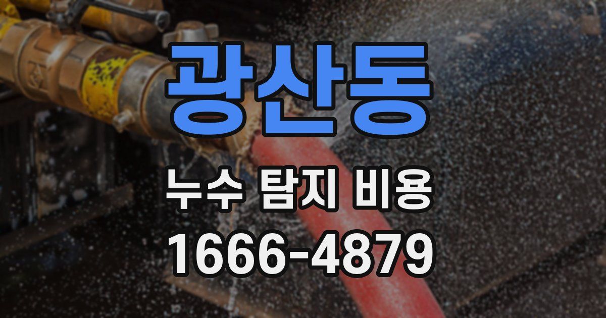 광산동 누수 탐지 비용