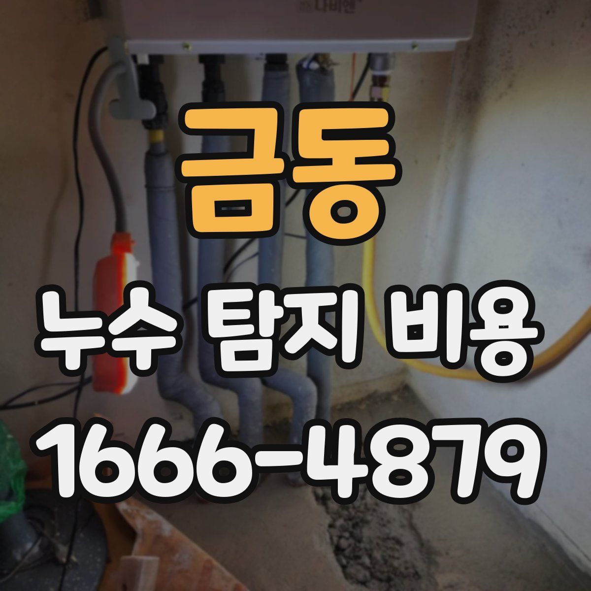 금동 누수 탐지 비용