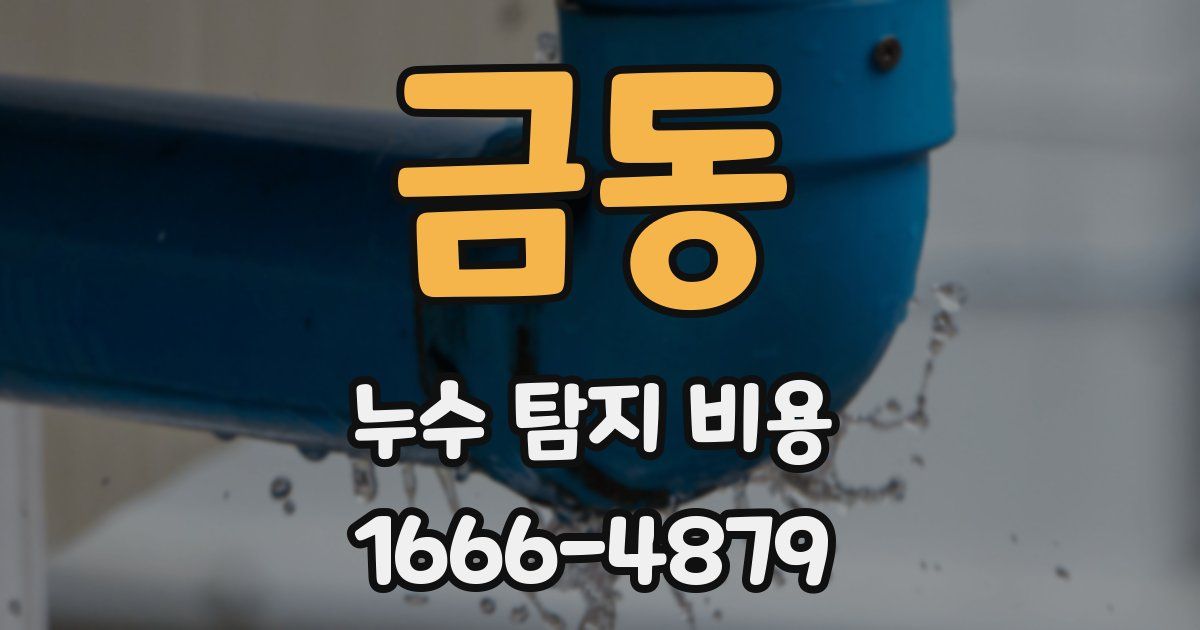 금동 누수 탐지 비용